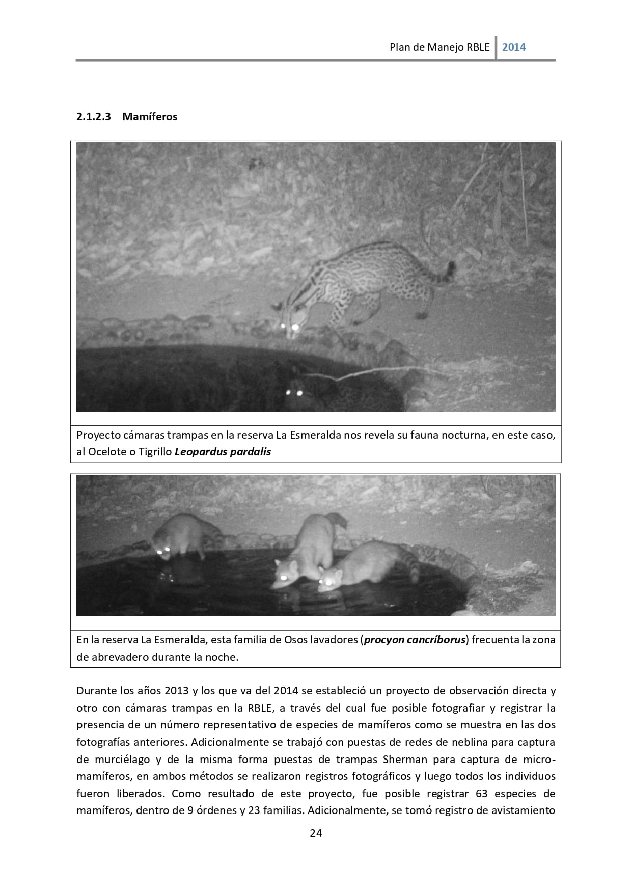 Plan de manejo