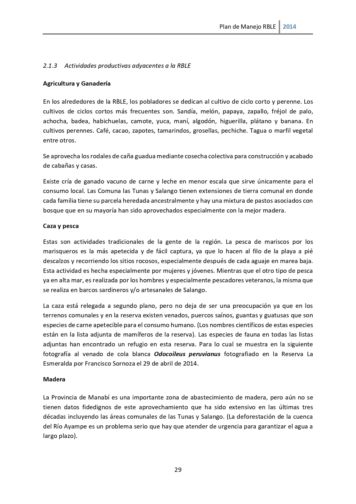 Plan de manejo