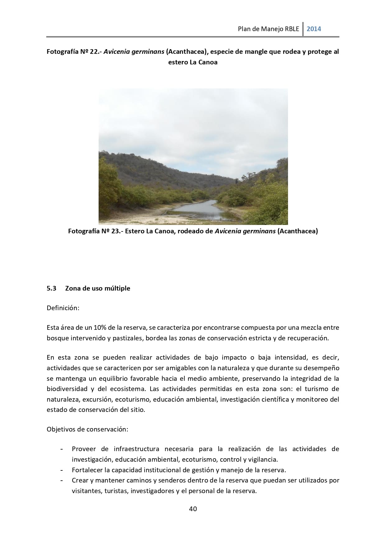 Plan de manejo